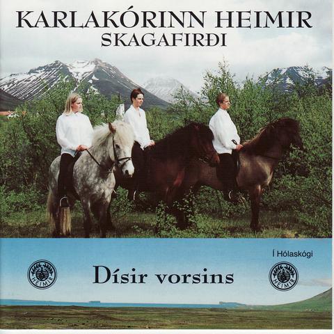 Dísir vorsins_1995_framhlið